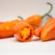 Chilli Aji Amarillo - Capsicum annuum - prodej semen - 7 ks