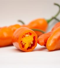 Chilli Aji Amarillo - Capsicum annuum - prodej semen - 7 ks