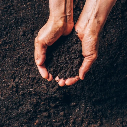 Speciální substrát pro borůvky a brusinky - prodej substrátů - 100 g