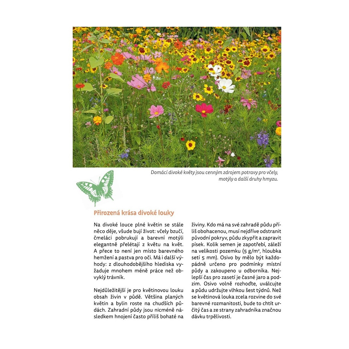 Zahrada plná života - Grada - prodej knih - 1 ks