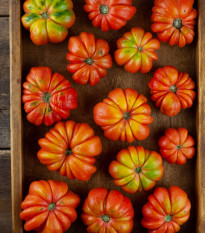 Rajče Costoluto Fiorentino - Solanum lycopersicum - prodej semen - 7 ks