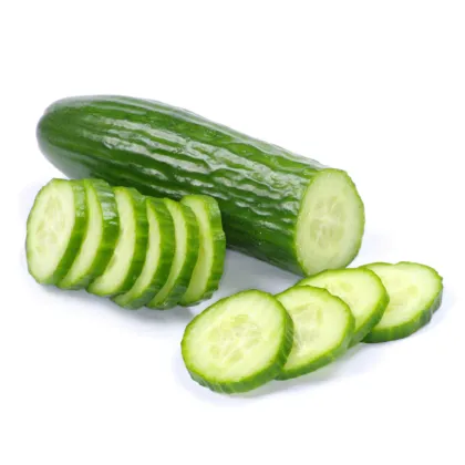BIO okurka salátová Persika - Cucumis sativus - prodej bio semen - 10 ks