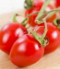 Rajče Alicante - Solanum lycopersicum - prodej semen - 8 ks