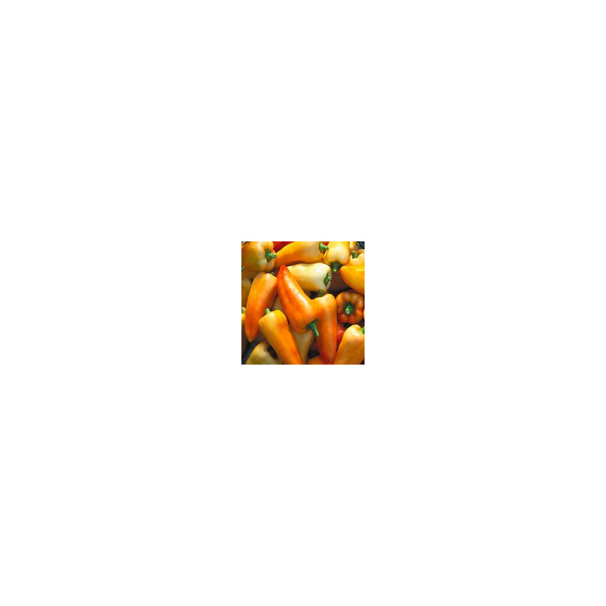 Paprika maďarská Feher - prodej semen papriky - 20 ks