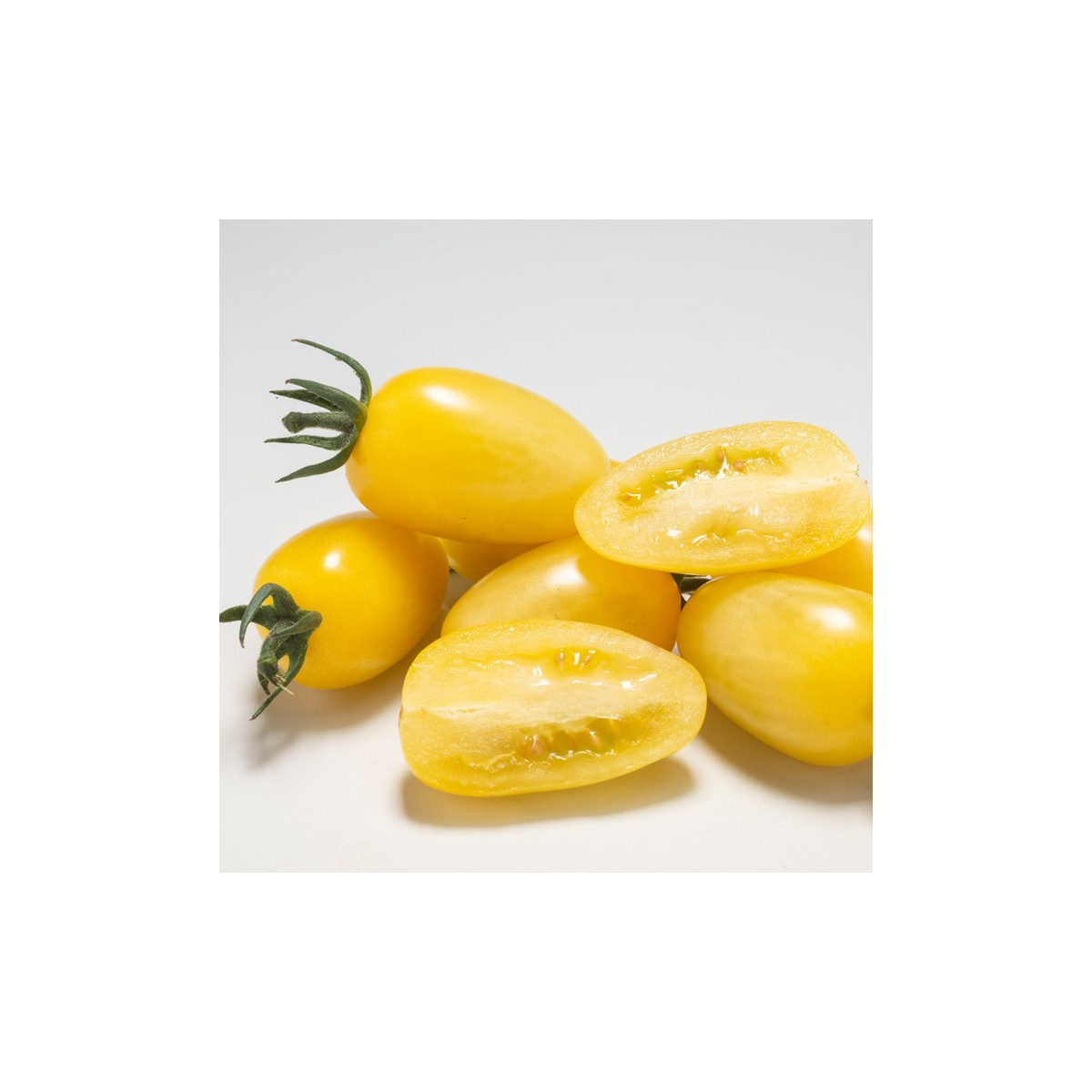 Rajče Dattolime F1 - Solanum lycopersicum - prodej semen - 6 ks