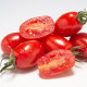 Rajče Dattored F1 - Solanum lycopersicum - prodej semen - 6 ks