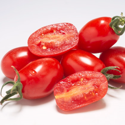Rajče Dattored F1 - Solanum lycopersicum - prodej semen - 6 ks