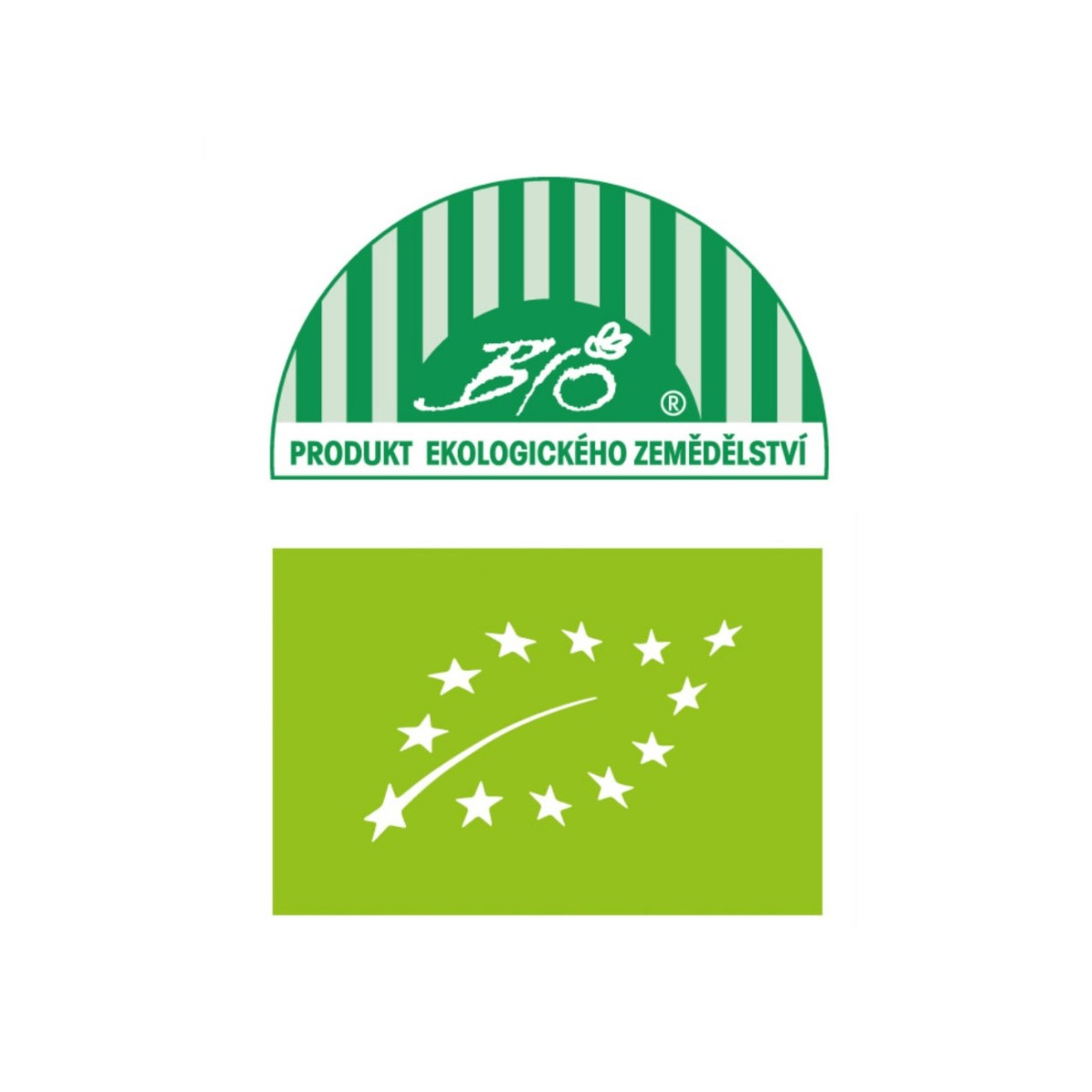 BIO semínka brokolice – BIO Brokolice Calabrese Natalino – Brassica oleracea L.