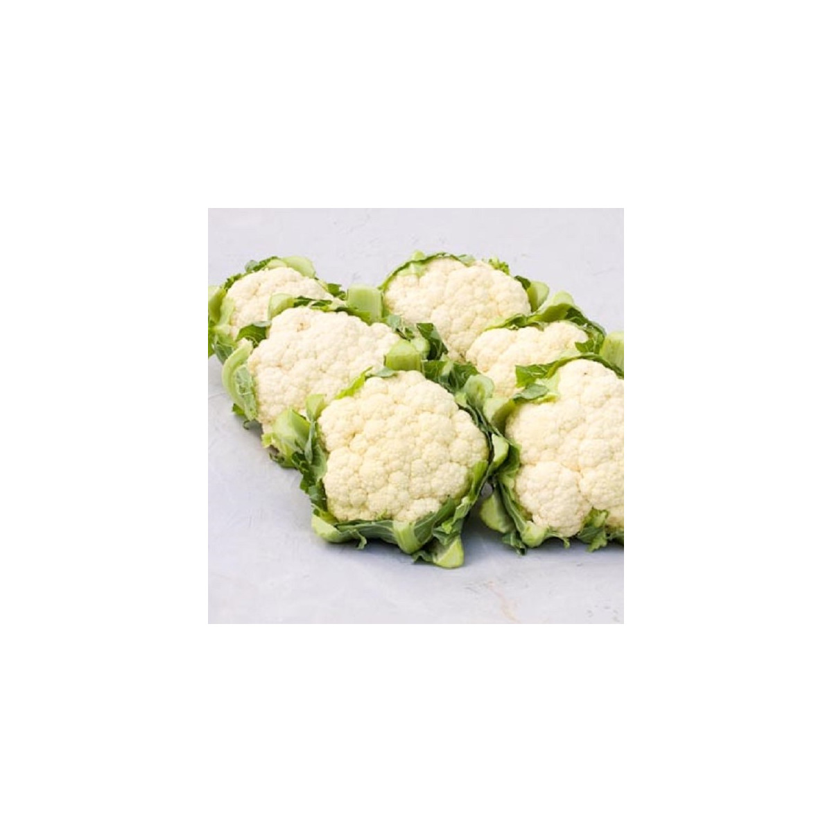 BIO Květák Amabile KS - Brassica oleracea - bio prodej semen - 20 ks