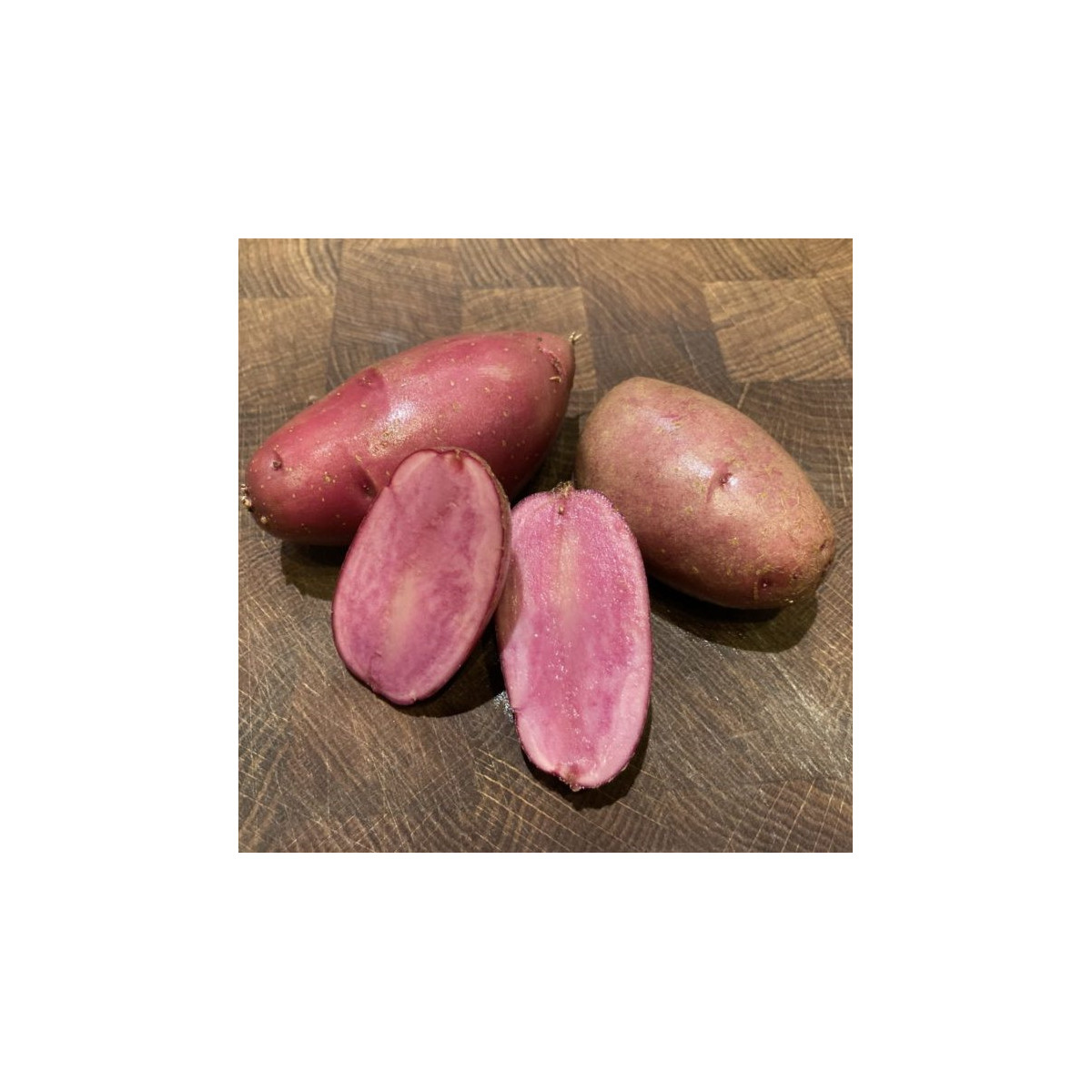 Sadbové brambory Heiderot - Solanum tuberosum - prodej sadby - 5 ks