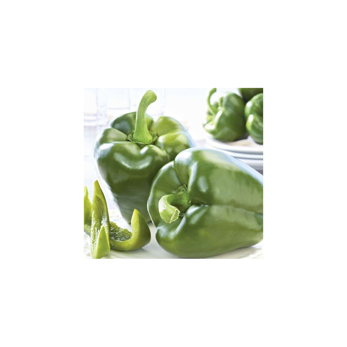 Paprika Beluga green F1 - Capsicum annuum - prodej semen - 5 ks