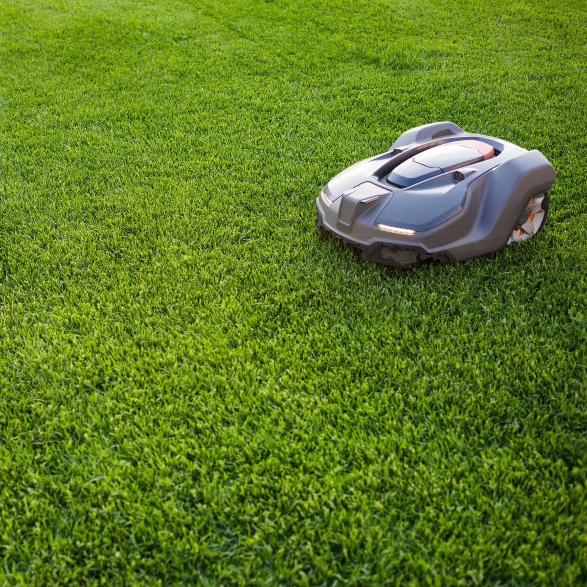 Trávník Comfort pro robotické sekačky - Kiepenkerl - prodej semen - 1 kg