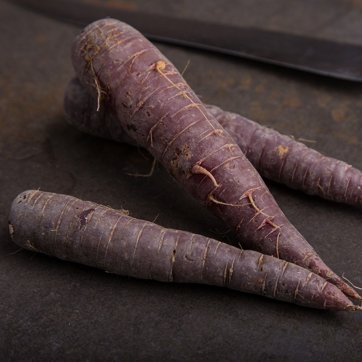 Semena mrkve Purple Sun F1 - prodej výsevních pásků - 5 m