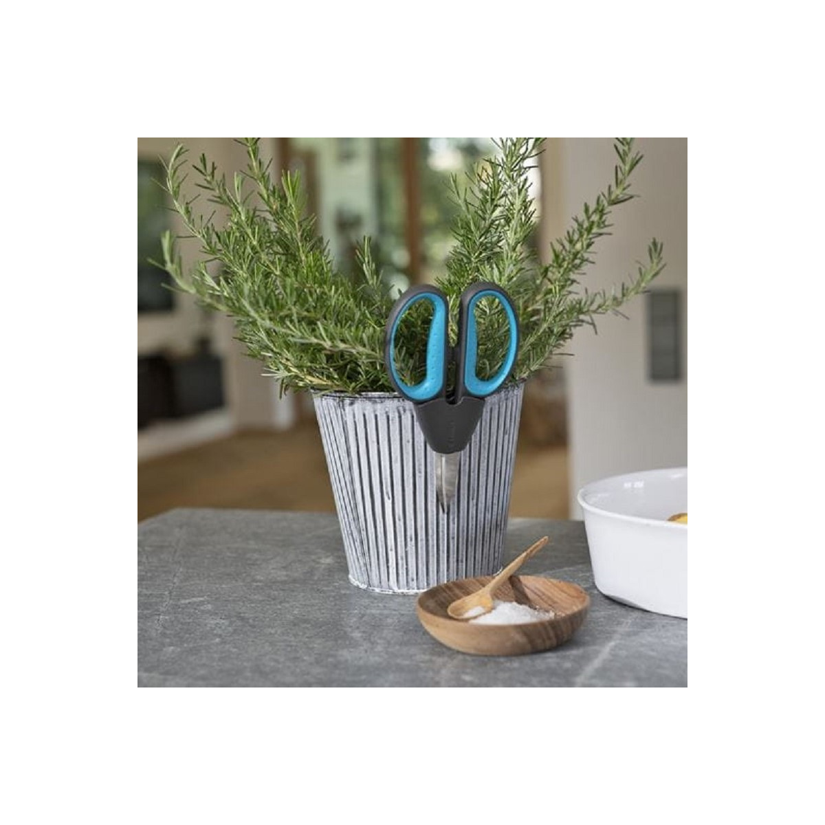 Nůžky HerbCut - sada - prodej zahradních nůžek - 1 ks