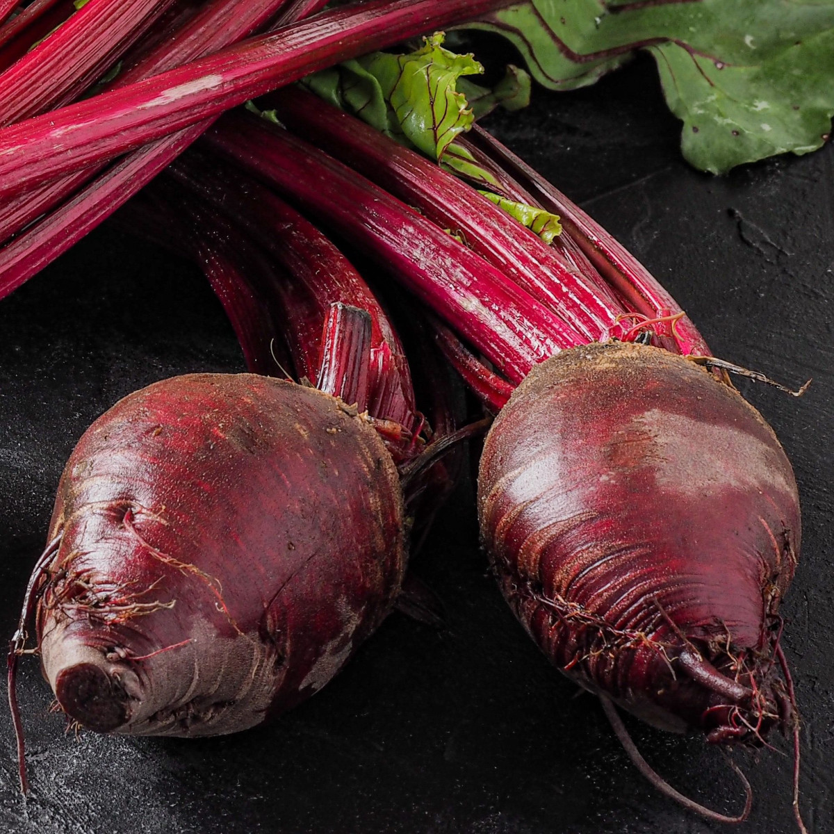 Semena červená řepa Redshine - prodej výsevních pásků - 5 m