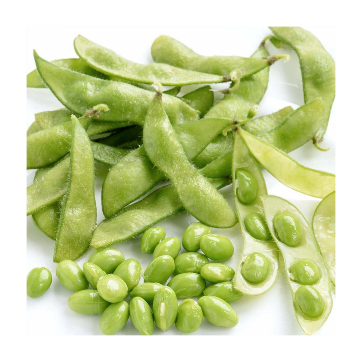 BIO Sója Green Shell - Glycine max - prodej bio semen - 20 ks