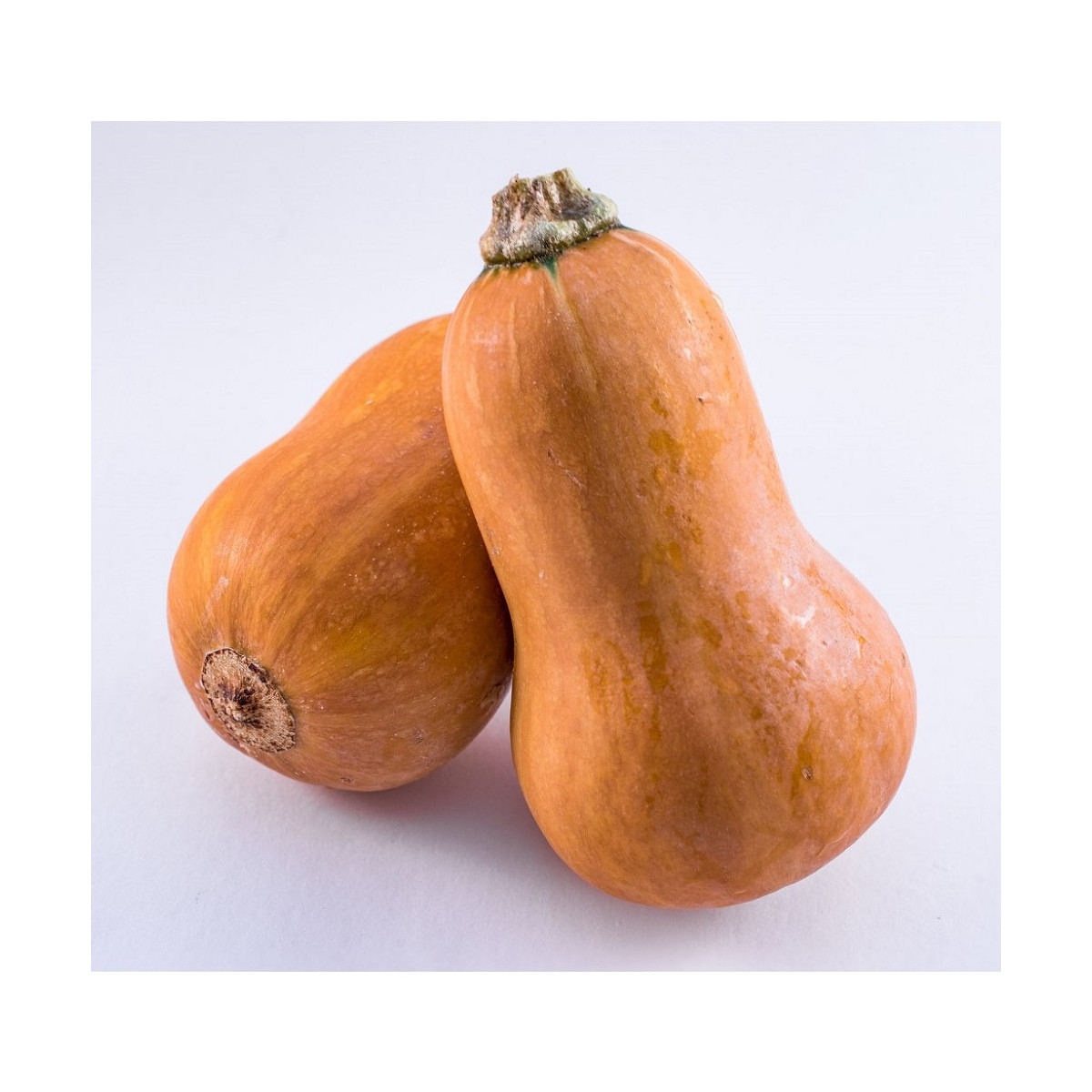 Dýně máslová Honeynut - Cucurbita moschata - prodej semen - 6 ks