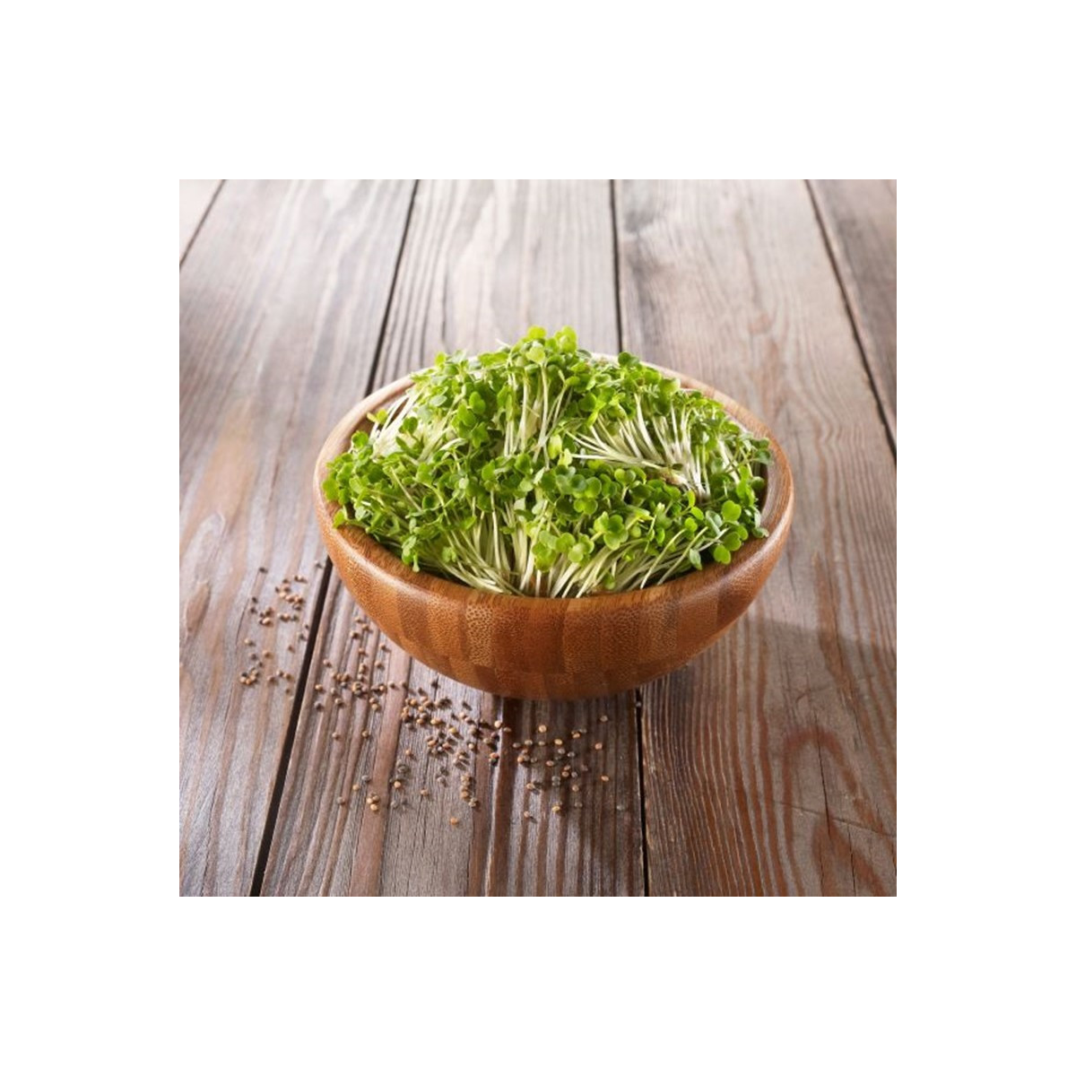 BIO Rukola - prodej bio semen na klíčení - 50 g