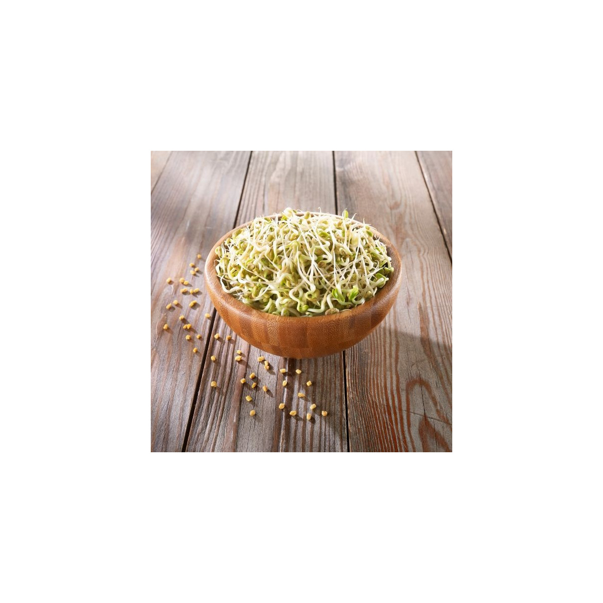 BIO Pískavice řecké seno - prodej bio semen na klíčení - 50 g