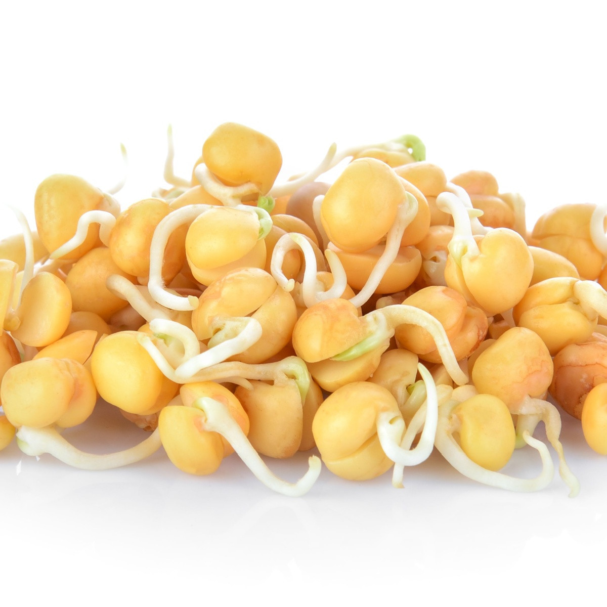 BIO Cizrna beranní - prodej bio semen na klíčení - 200 g