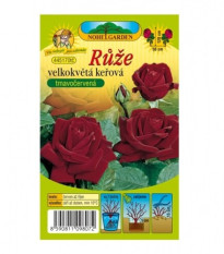Růže velkokvětá keřová tmavě červená - Rosa - prodej prostokořenných sazenic - 1 ks