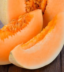 Meloun cukrový Sweet Granite - Cucumis melo - prodej semen - 10 ks