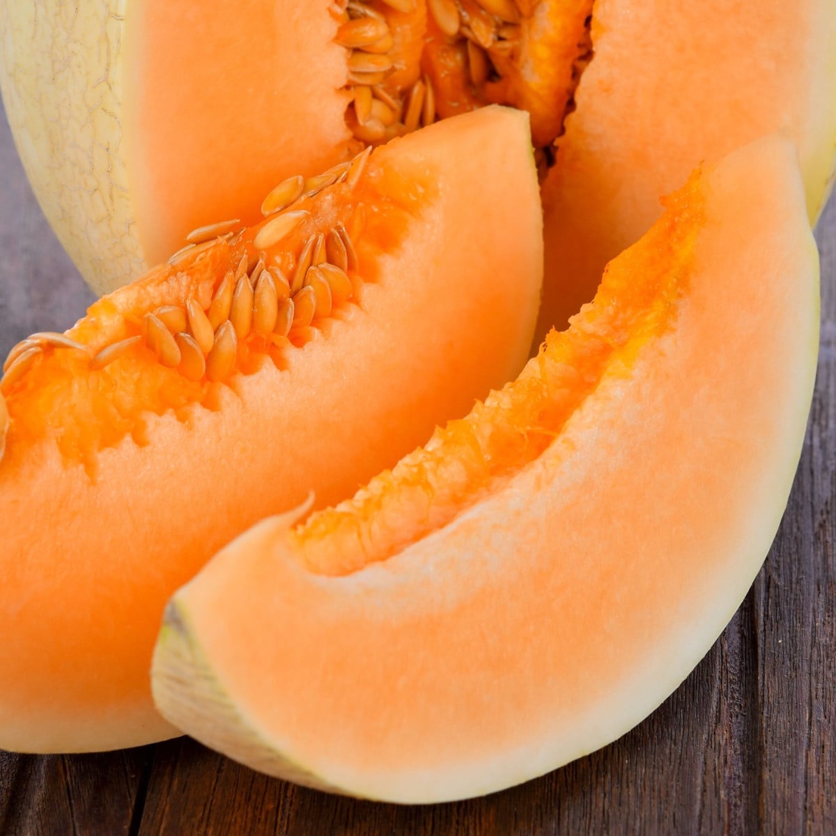 Meloun cukrový Sweet Granite - Cucumis melo - prodej semen - 10 ks