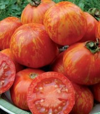 Rajče Červená zebra - Solanum lycopersicum - prodej semen - 6 ks