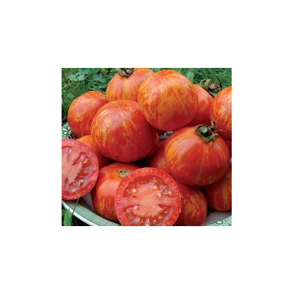Rajče Červená zebra - Solanum lycopersicum - prodej semen - 6 ks