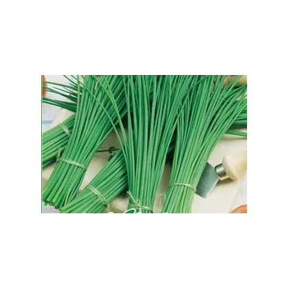 BIO Pažitka Polyfit - prodej bio semen pažitky - 0,5 gr
