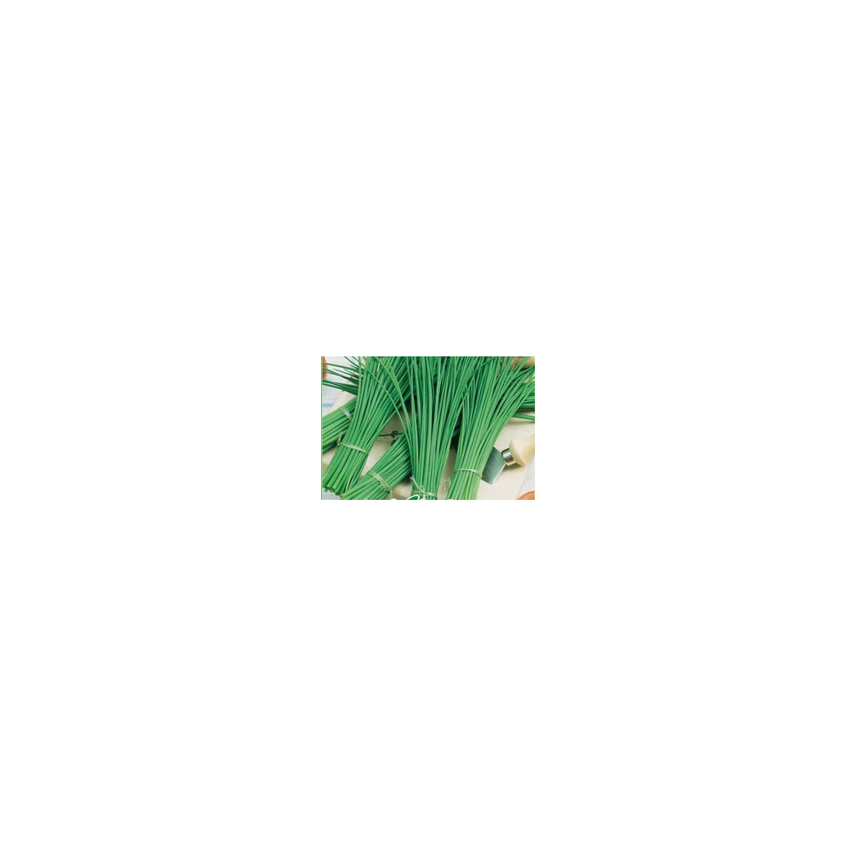 BIO Pažitka Polyfit - prodej bio semen pažitky - 0,5 gr