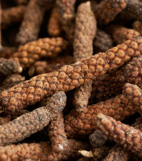 Pepř dlouhý - Piper longum - prodej semen - 10 ks