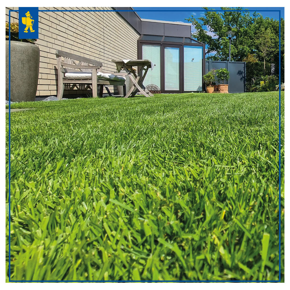 Trávník Stadionrasen na hřiště - Kiepenkerl - prodej semen - 1 kg