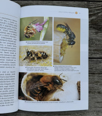 Domečky pro včely a užitečný hmyz - Grada - prodej knih - 1 ks