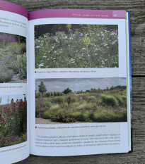 Květiny pro suché zahrady - Grada - prodej knih - 1 ks