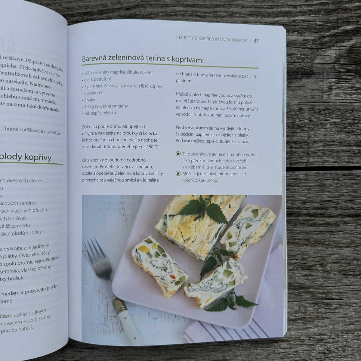 Léčivé byliny v květináči a na zahradě - Grada - prodej knih - 1 ks