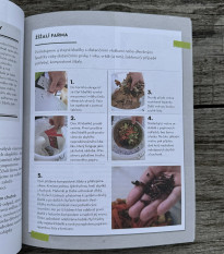 Vertikální zeleninové zahrádky - Grada - prodej knih - 1 ks