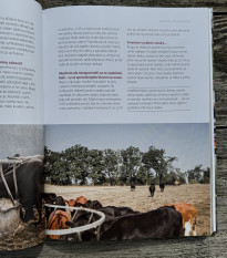 BIO je naše cesta - Kazda - prodej knih - 1 ks