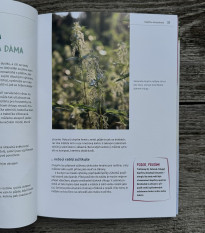 Plevel na talíři - Kazda - prodej knih - 1 ks