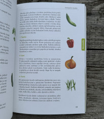 Zkuste to doma sami - Zahrada a balkon - Kazda - prodej knih - 1 ks