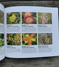 Stateční v zahradě - Kazda - prodej knih - 1 ks