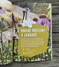 Zahrada bez zalévání - Kazda - prodej knih - 1 ks