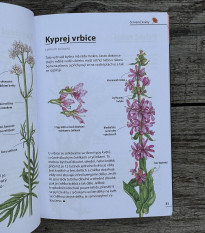 Květiny - Rozpoznejte snadno 100 druhů - Kazda - prodej knih - 1 ks