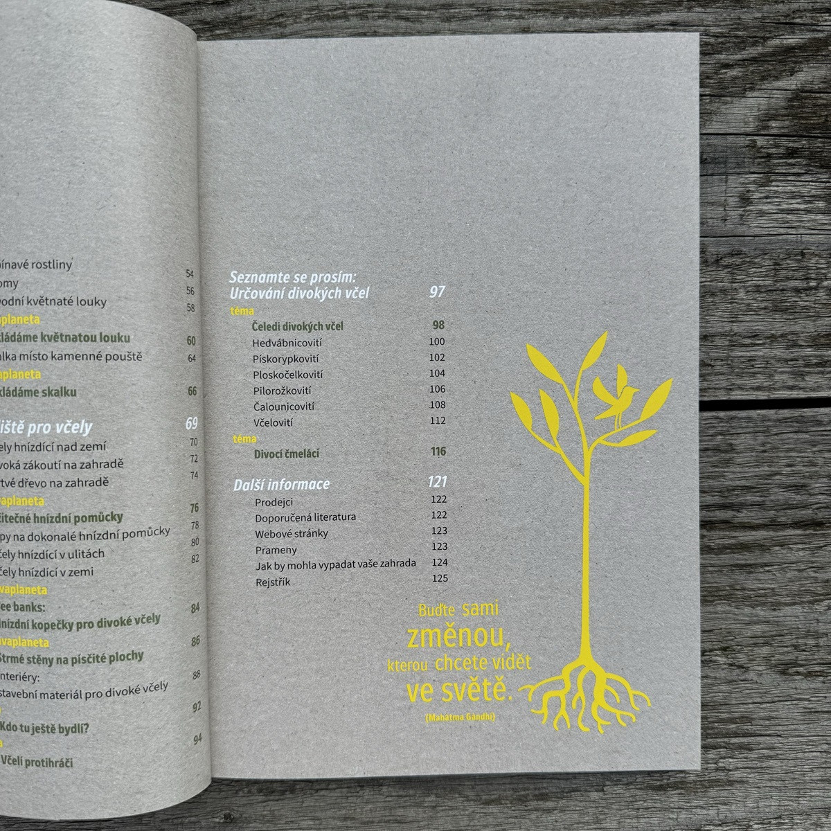 Jak zachránit včely - Kazda - prodej knih - 1 ks