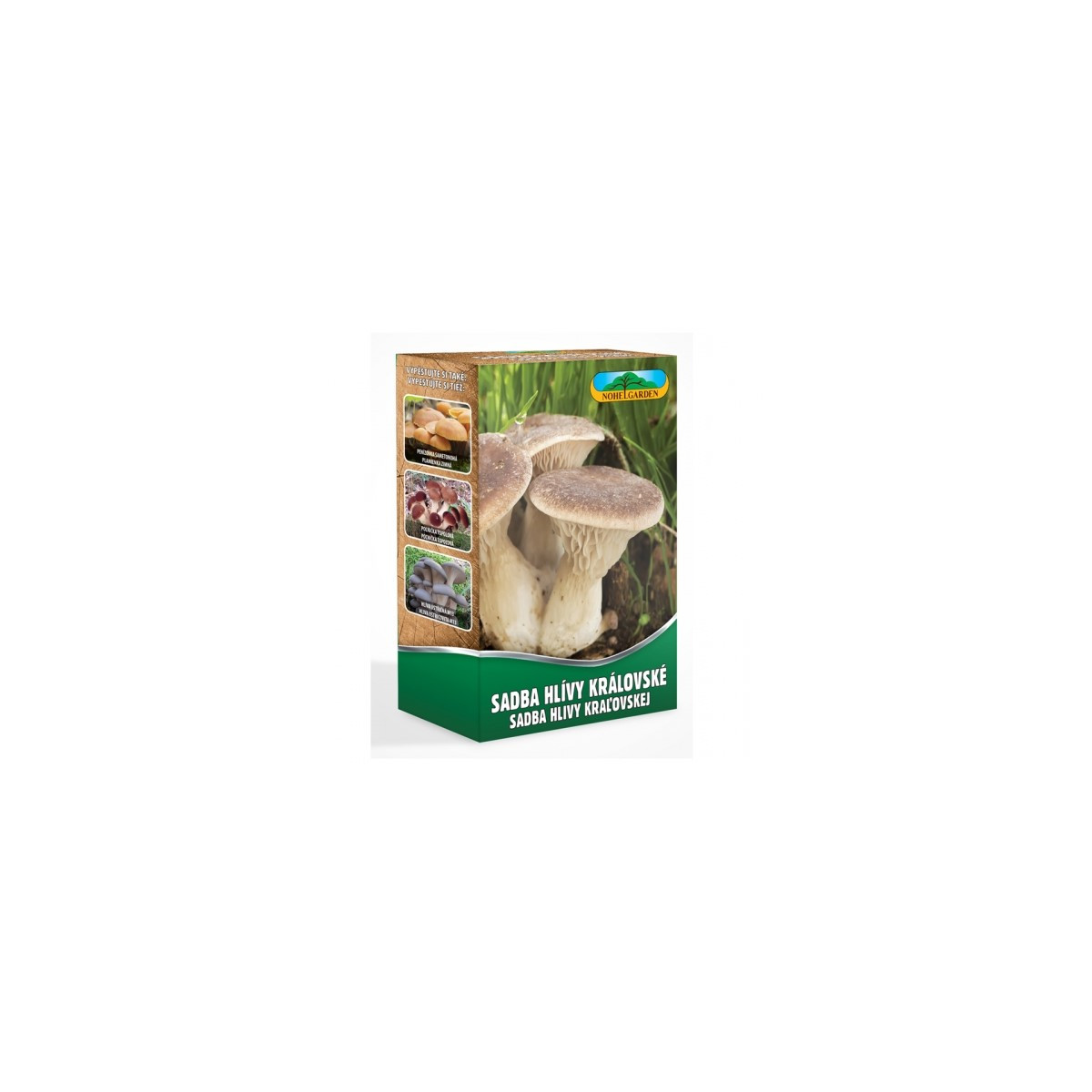 Hlíva královská máčková - Pleurotus eryngii - sadba - prodej - 250 ml
