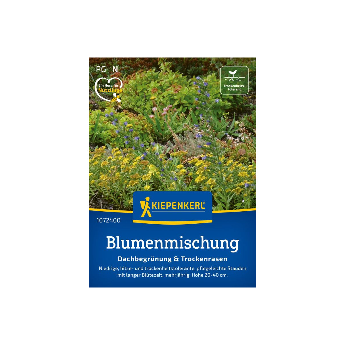 Směs květin - Zelená střecha a suchá místa - Kiepenkerl - prodej semen - 1 ks