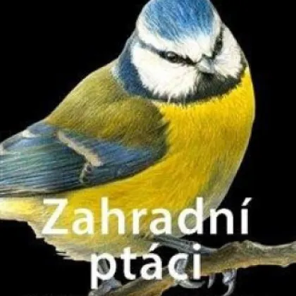 Zahradní ptáci - Poznejte snadno 75 druhů - Kazda - prodej knih - 1 ks