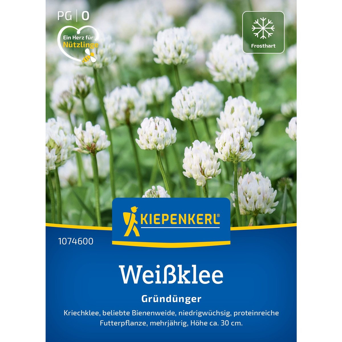 Zelené hnojení - Bílý jetel - prodej semen - 60 g