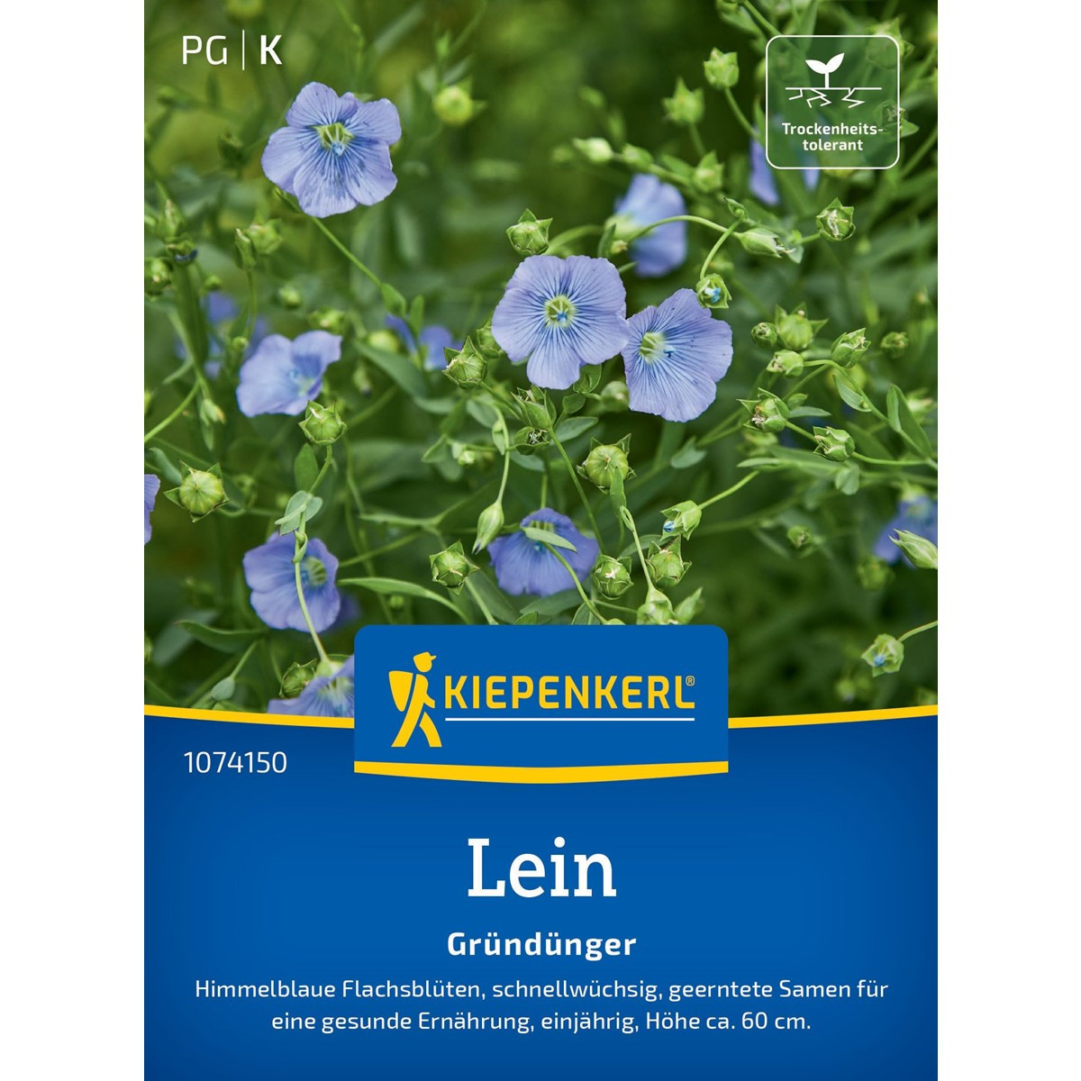 Zelené hnojení - len - prodej semen - 60 g