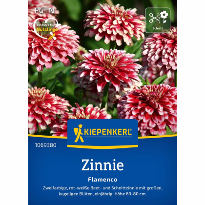 Ostálka Flamenco - Zinnia elegans - prodej semen - 50 ks